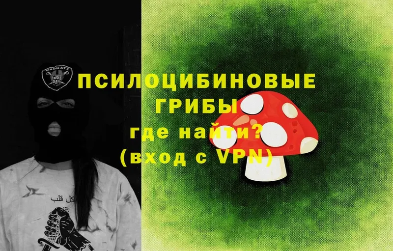 Галлюциногенные грибы Magic Shrooms  Ржев 